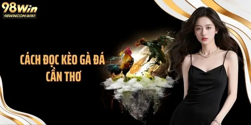 Cách đọc kèo gà đá Cần Thơ