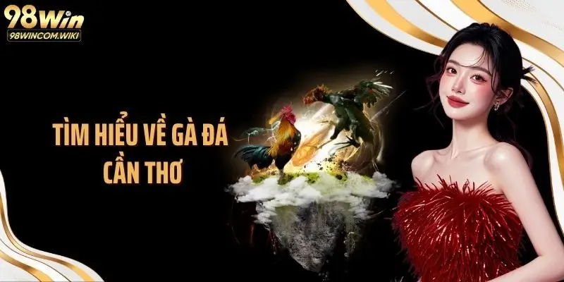 Tìm hiểu về gà đá Cần Thơ